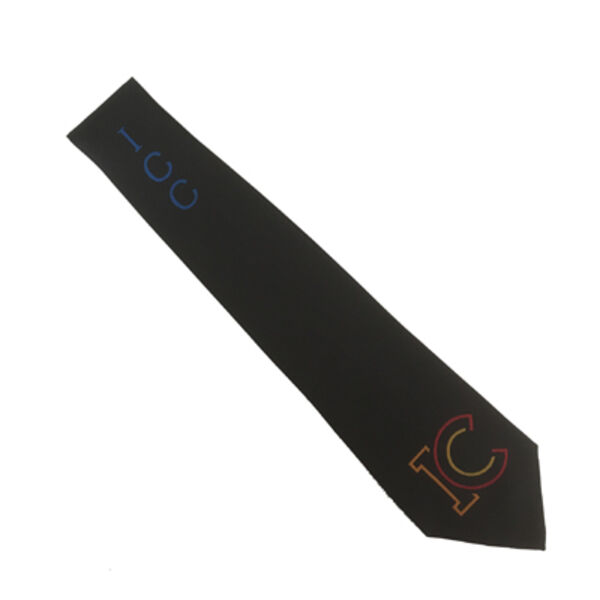 ICC Year 9 Tie (Blue) Thumbnail